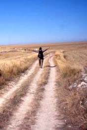 The meseta on Camino de Santiago